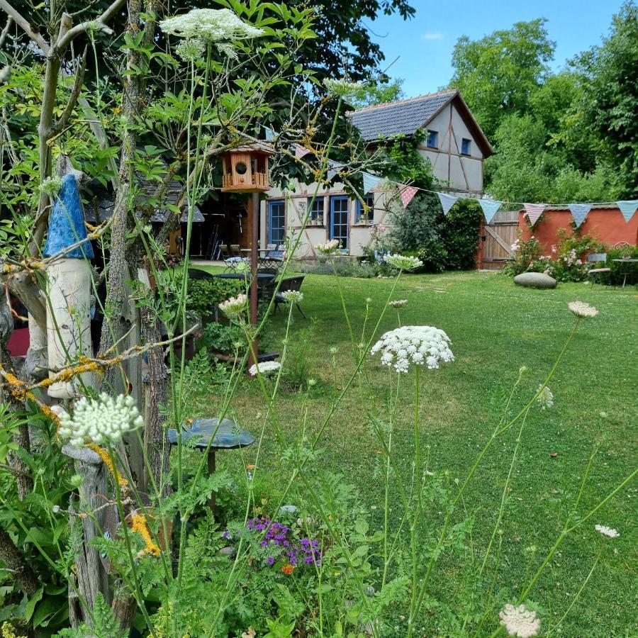 Ankommen, Wohlfuehlen Und Die Natur Geniessen Lichtenhain  Exterior foto